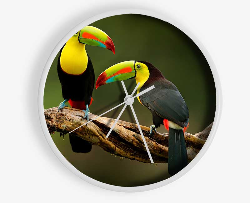 Two Toucans on branch Clock - Wallart-Direct UK