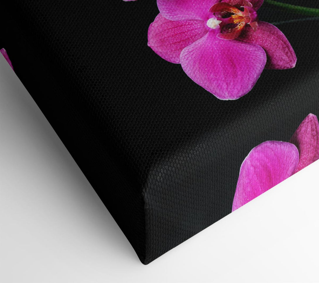 Picture of Pink Orchids Curve Canvas Print Wall Art