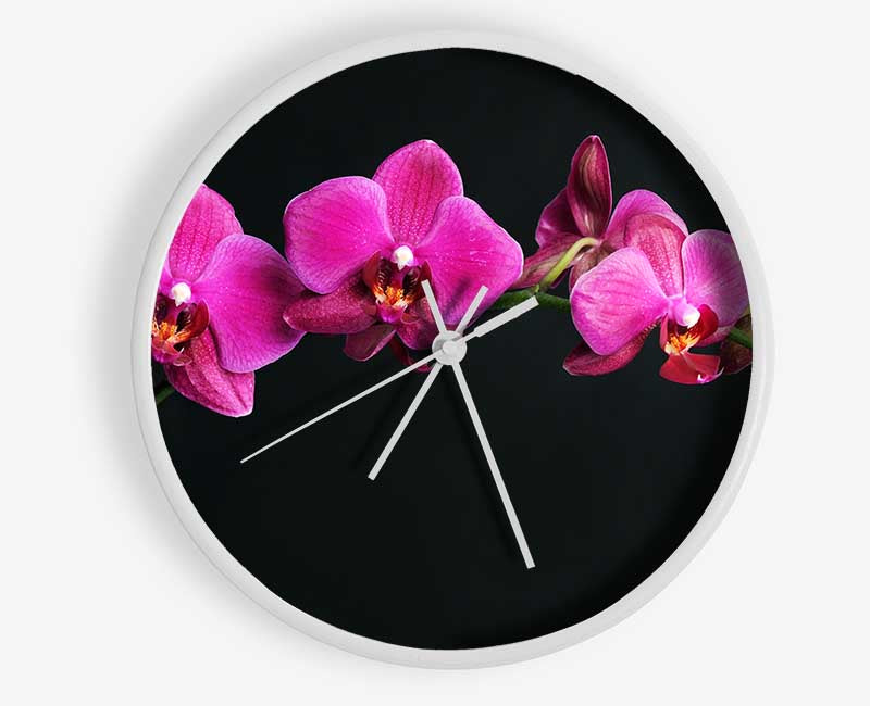 Pink Orchids Curve Clock - Wallart-Direct UK