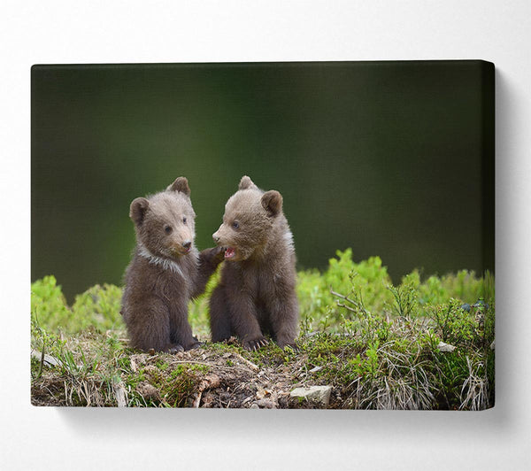 Picture of Two bear cubs playing Canvas Print Wall Art