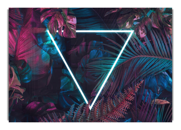 Neon triangle in the jungle