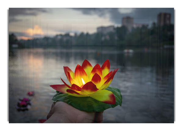 Blumenkerze mit Stadtblick