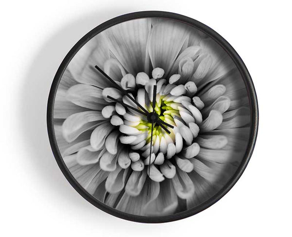 Close up flower in black and white Clock - Wallart-Direct UK