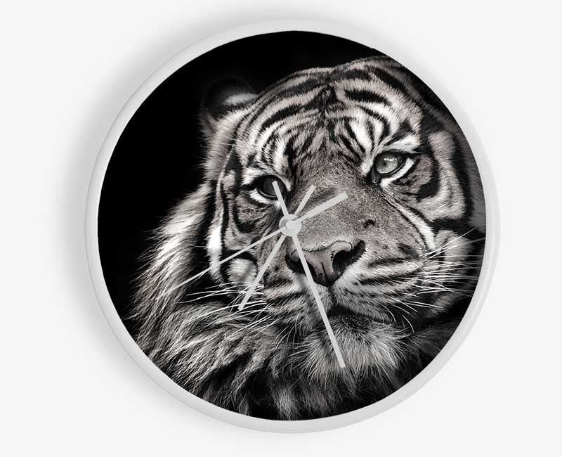 Handsome Black and white tiger Clock - Wallart-Direct UK