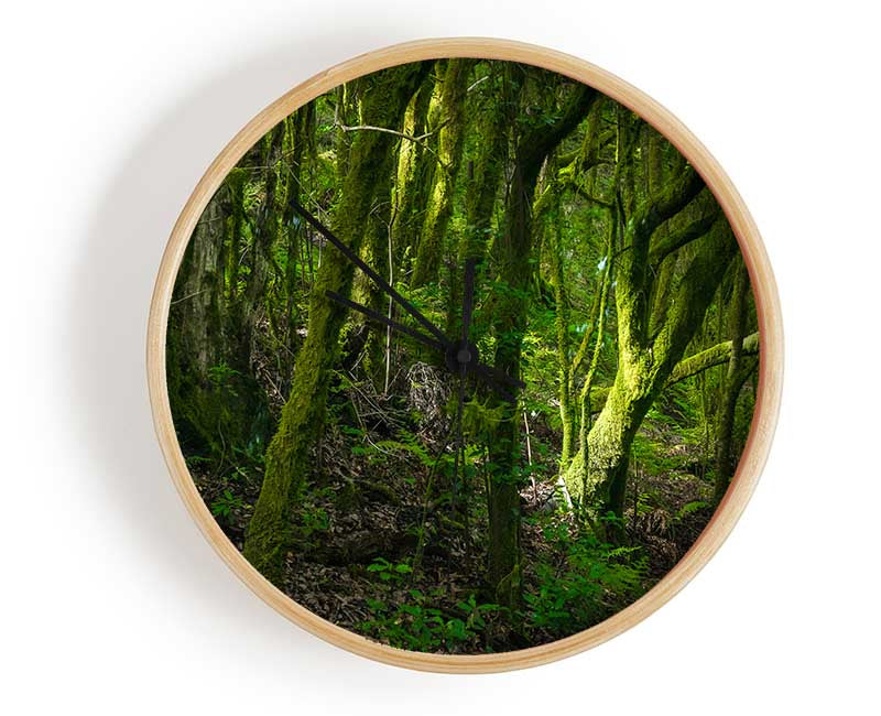 Dense Green Mossy Forest Clock - Wallart-Direct UK