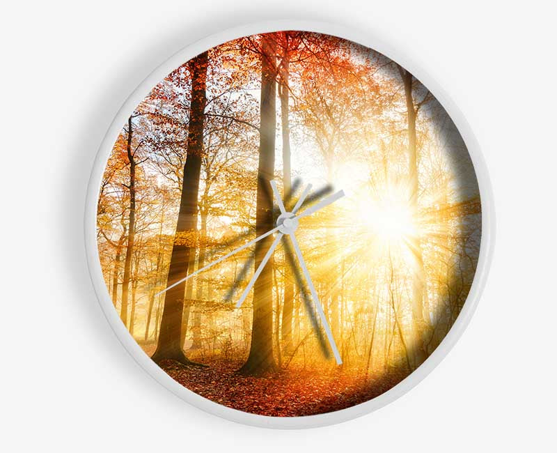 Great british autumn woodland Clock - Wallart-Direct UK