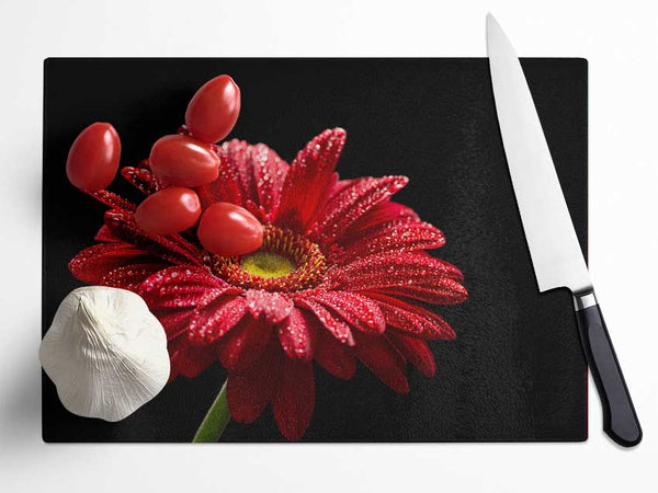 Red gerbera with rain droplets Glass Chopping Board