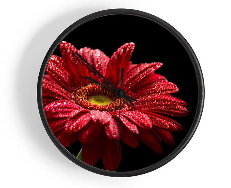 Red gerbera with rain droplets Clock - Wallart-Direct UK