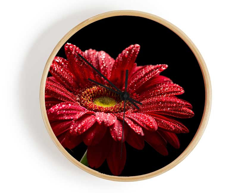 Red gerbera with rain droplets Clock - Wallart-Direct UK