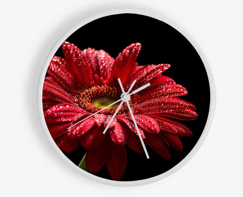 Red gerbera with rain droplets Clock - Wallart-Direct UK