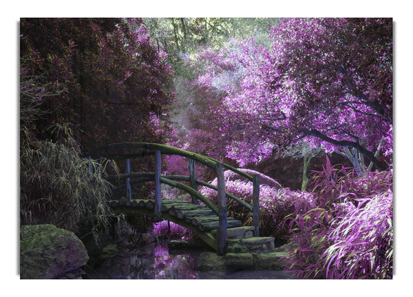 Little foot bridge in the lilac forest