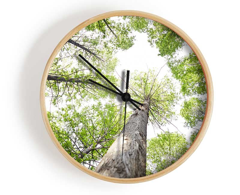 Up the tree to the skies Clock - Wallart-Direct UK