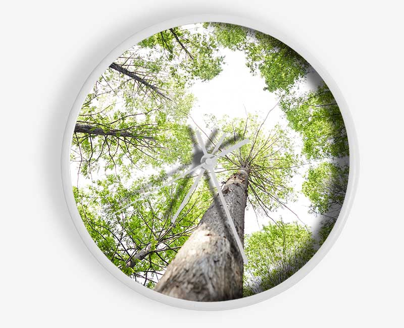 Up the tree to the skies Clock - Wallart-Direct UK