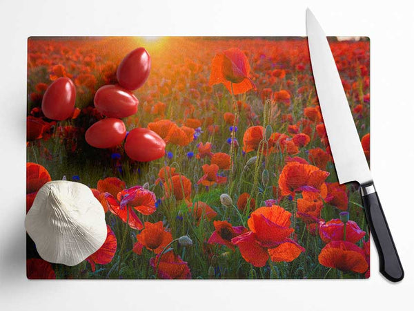 Red poppies under the sunset Glass Chopping Board