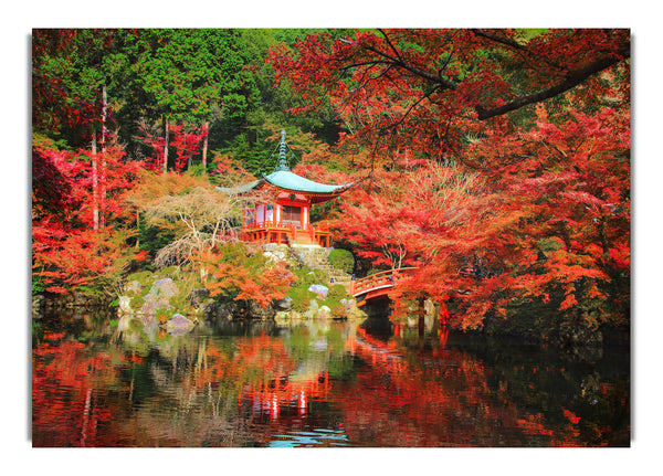 Oriental River in the woods