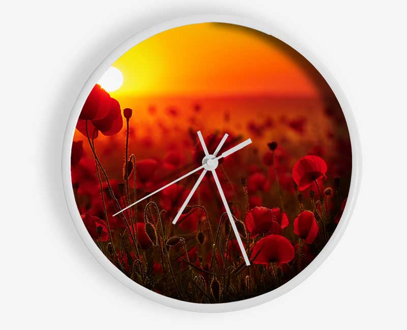 Poppies in the sunset reds Clock - Wallart-Direct UK