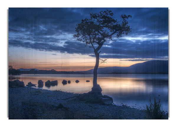 Night time blues by the river