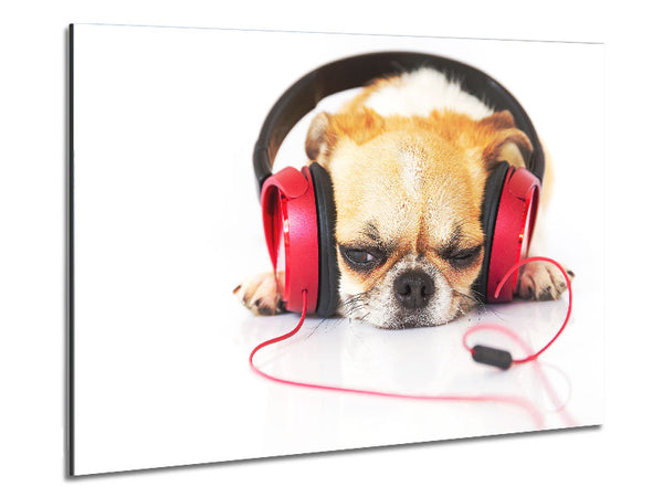 Dog listening to music relaxing