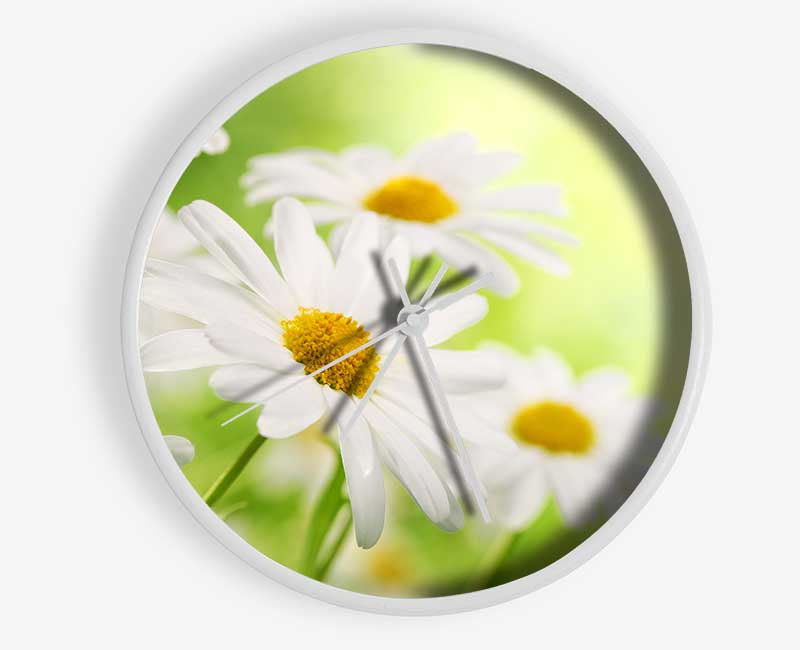 Daisies up close glowing Clock - Wallart-Direct UK