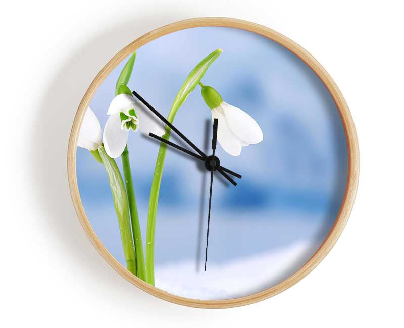 White snowdrops in the snow Clock - Wallart-Direct UK