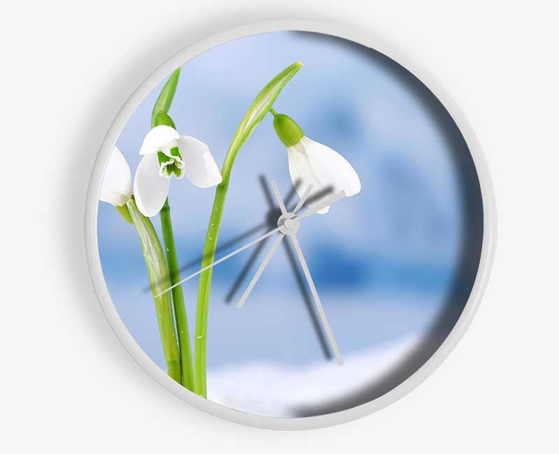 White snowdrops in the snow Clock - Wallart-Direct UK