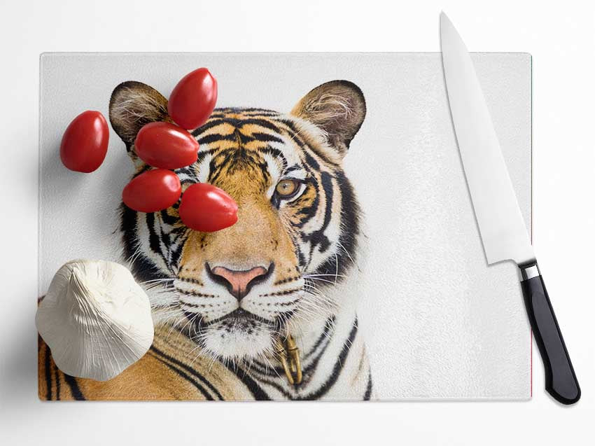 Tiger staring at the camera Glass Chopping Board