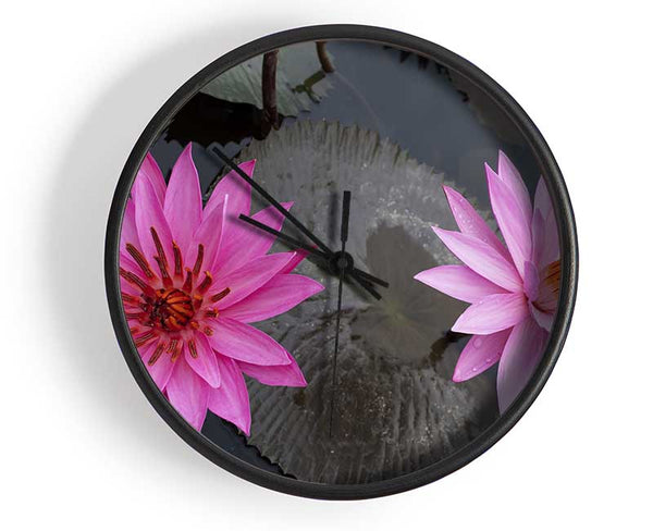 Pink flowers in the lake Clock - Wallart-Direct UK