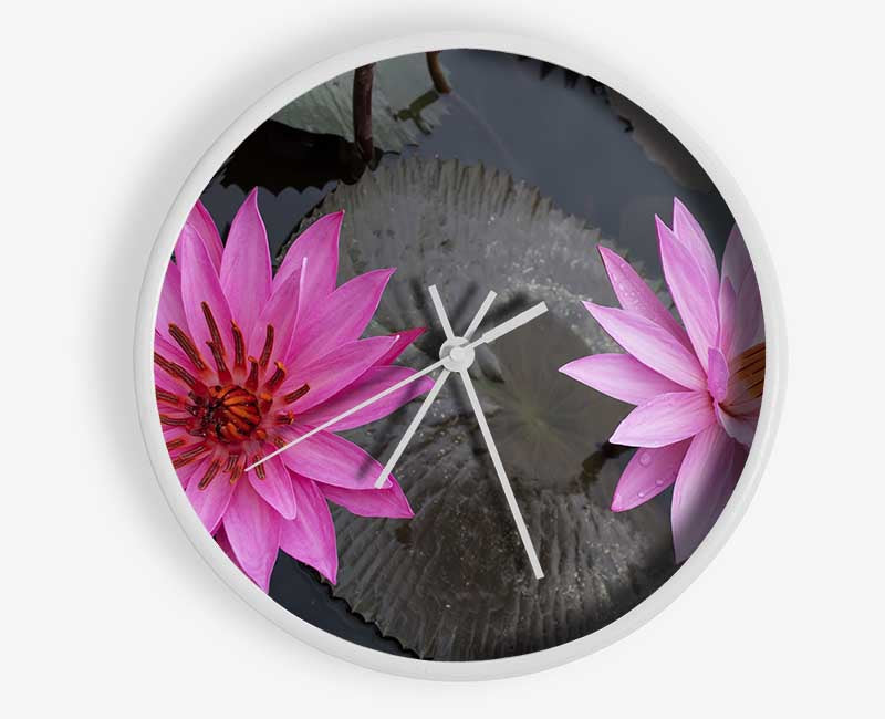 Pink flowers in the lake Clock - Wallart-Direct UK