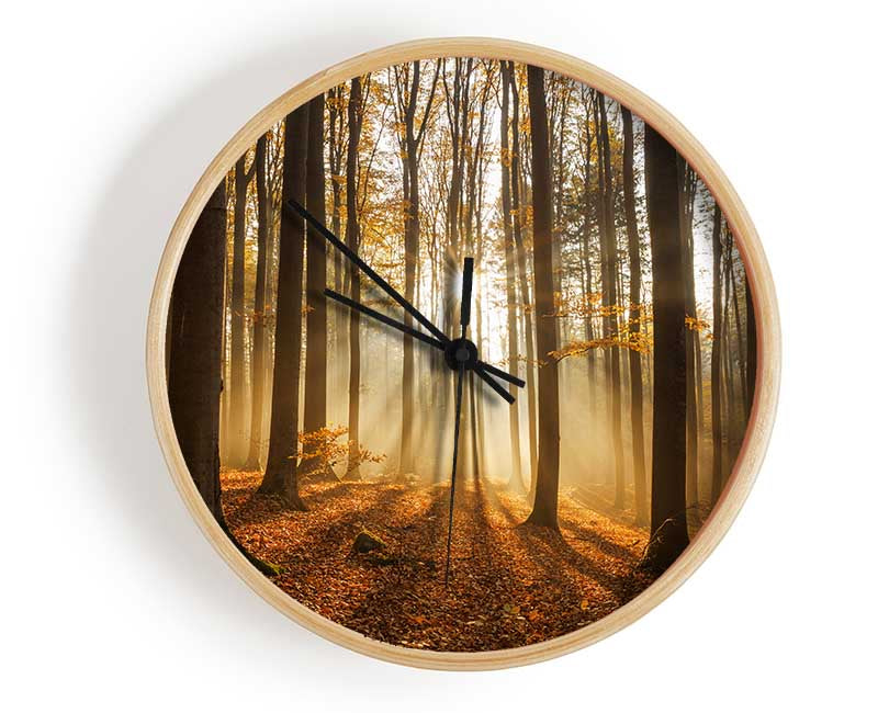 Sunbeam forest in the misty hues Clock - Wallart-Direct UK