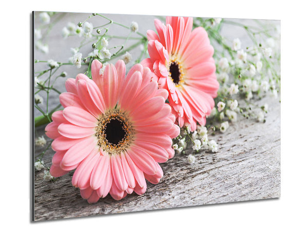 Pink gerbera laying down close