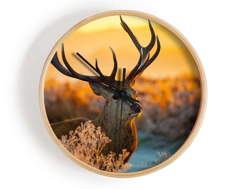 Crisp winters stag Clock - Wallart-Direct UK