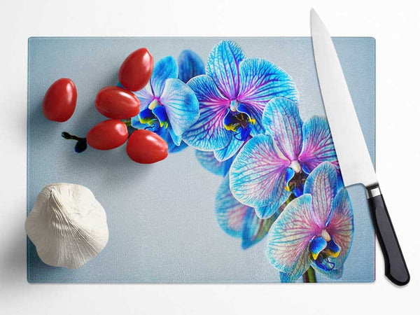 Blue orchids close up Glass Chopping Board