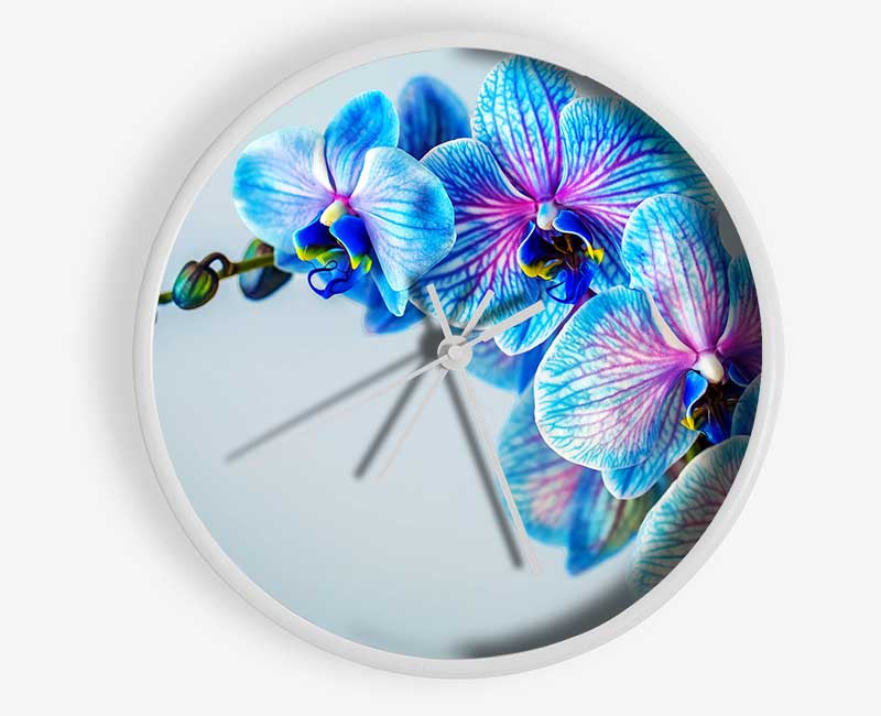 Blue orchids close up Clock - Wallart-Direct UK