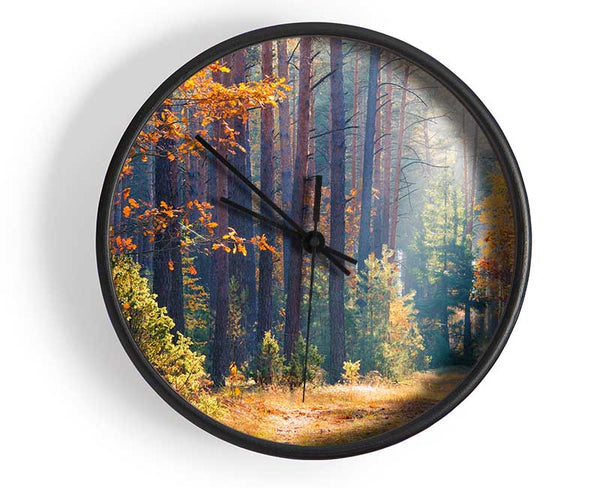 Forest of tall trees Clock - Wallart-Direct UK