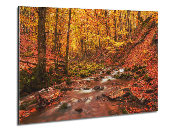 Soft trickling water through the trees