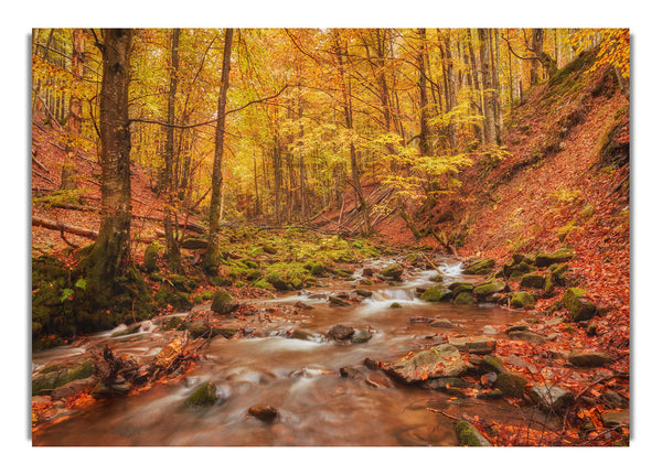 Soft trickling water through the trees