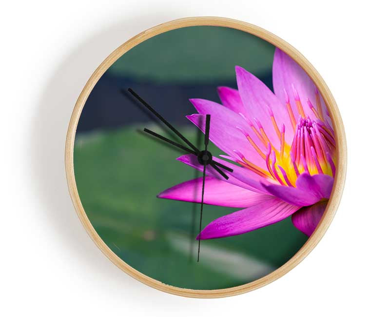 Lotus flower up close pink Clock - Wallart-Direct UK