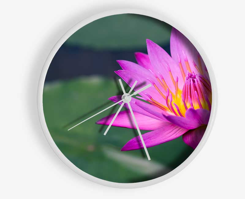 Lotus flower up close pink Clock - Wallart-Direct UK