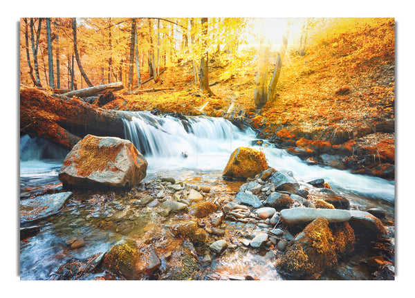 Waterfall in the woods beauty