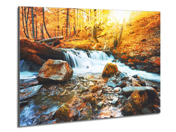 Waterfall in the woods beauty