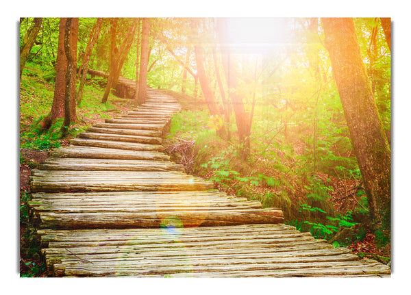 Log trail through the woods