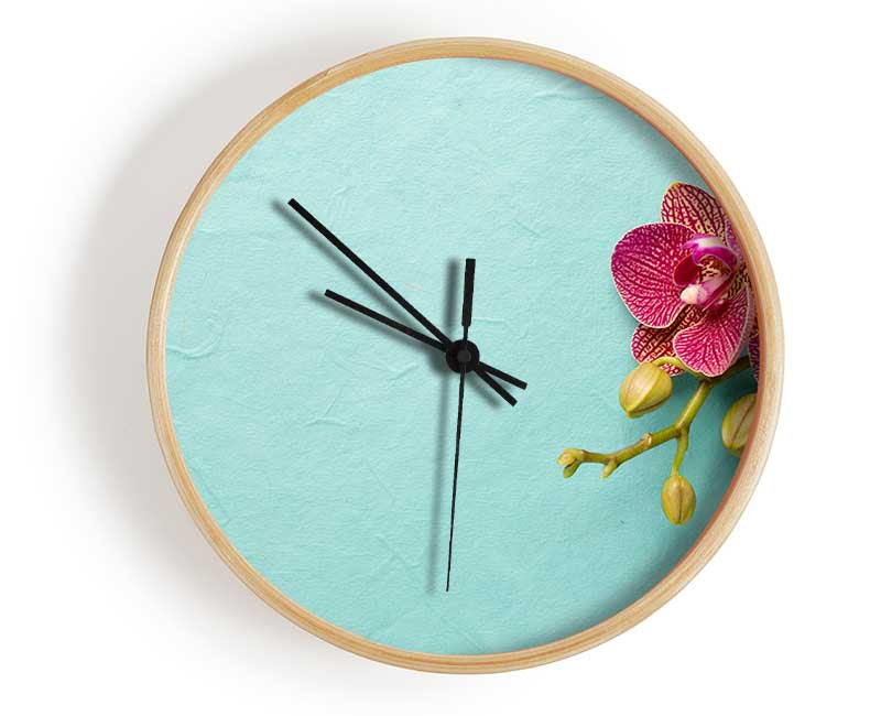 Orchids on the blue Clock - Wallart-Direct UK