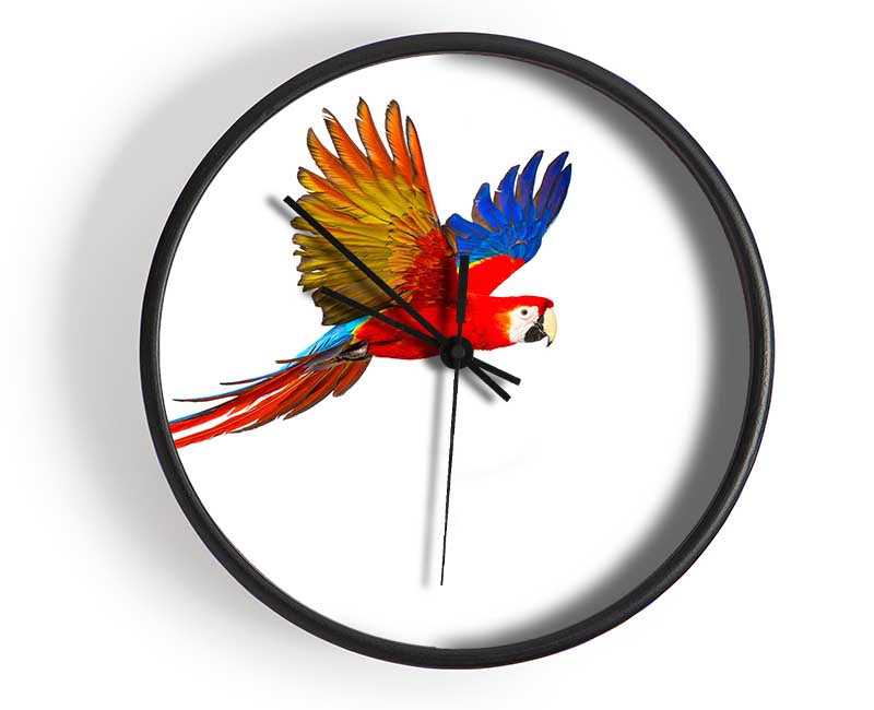 parrot in flight Clock - Wallart-Direct UK