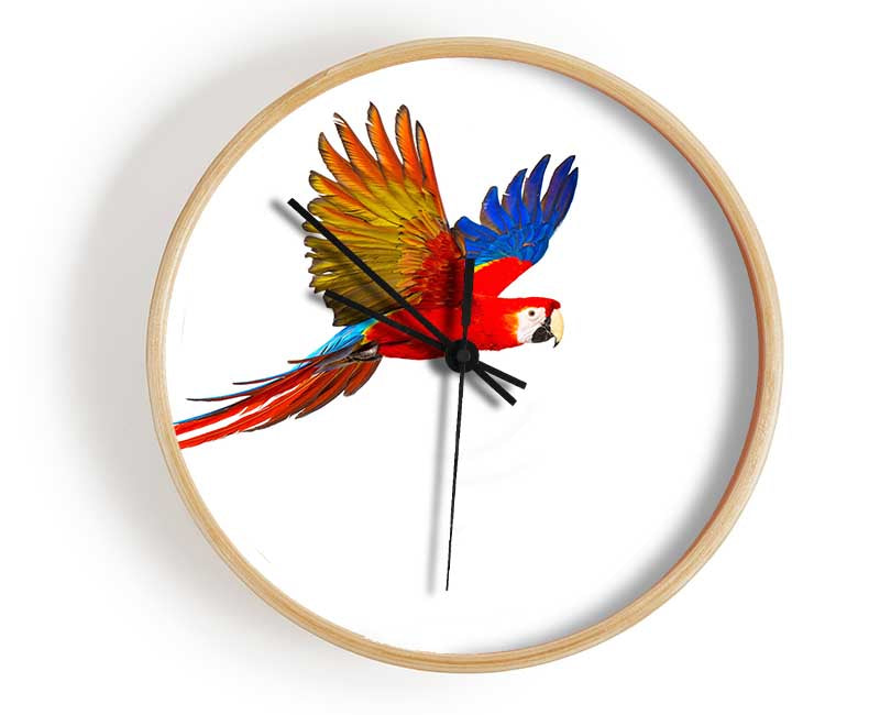 parrot in flight Clock - Wallart-Direct UK