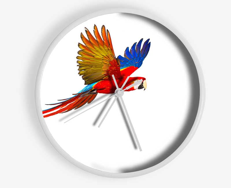 parrot in flight Clock - Wallart-Direct UK