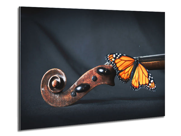 Butterfly resting on Instrument