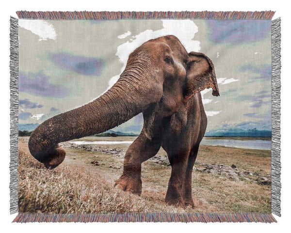 Elephant coming up close Woven Blanket