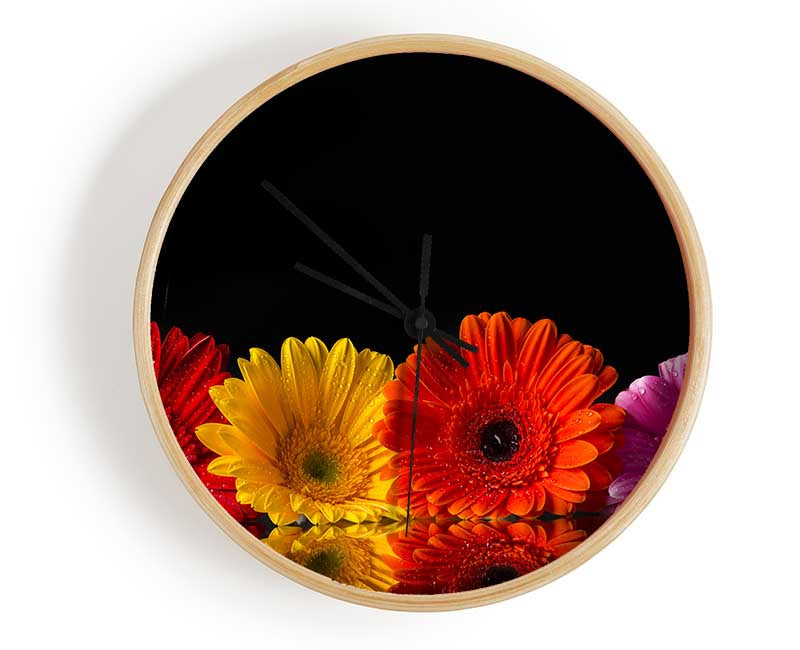 Multi coloured gerberas Clock - Wallart-Direct UK