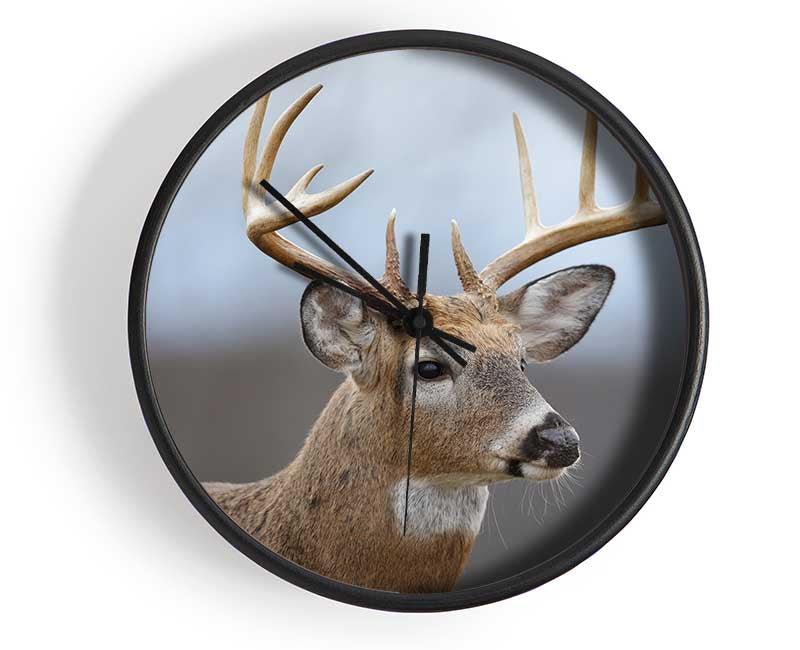 Stag looking onwards Clock - Wallart-Direct UK