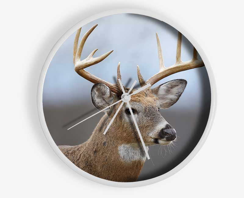 Stag looking onwards Clock - Wallart-Direct UK